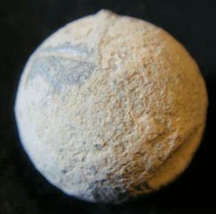 Waterloo English Musket Ball 1815